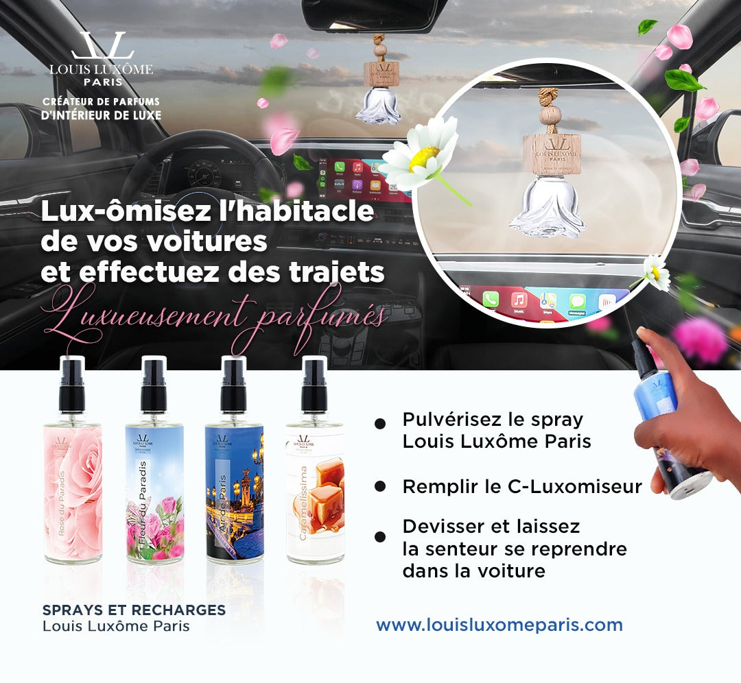 C-Luxômiseur: Luxômisez l'intérieur de votre voiture